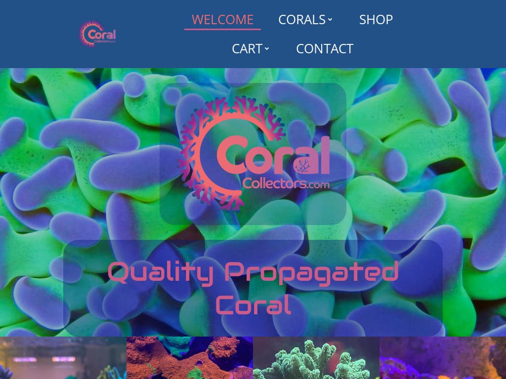 coralcollectors-com-1024x768desktop-b4a734